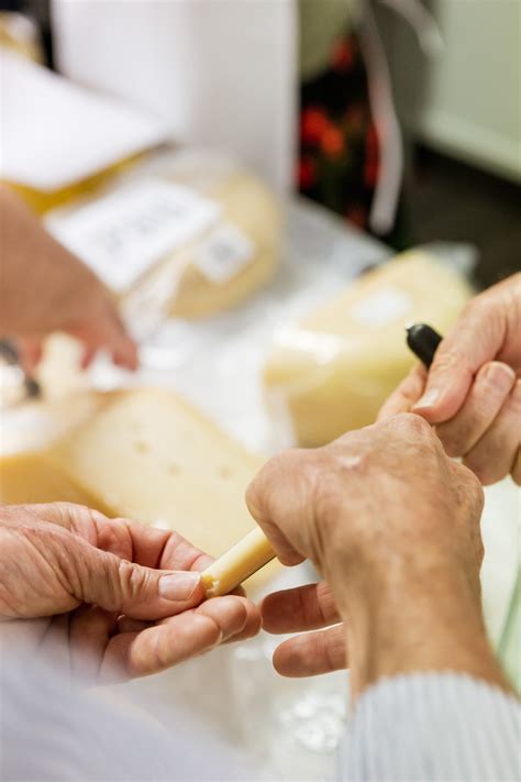 Nz Champions Of Cheese Awards 2020 — Cheese Lovers Nz