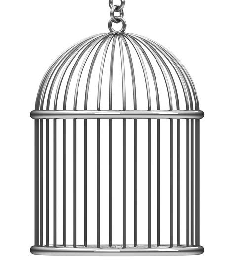 Cage Bird Png Transparent Image Download Size 2663x3002px