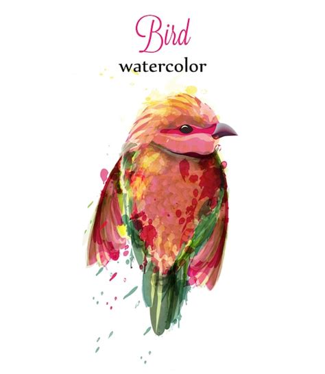 Premium Vector Watercolor Small Bird
