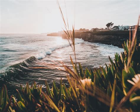 9 Best Beginner Surf Spots In Santa Cruz