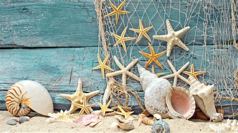 Seashells And Starfish On The Boat Summer Holiday At Sea Wallpaper