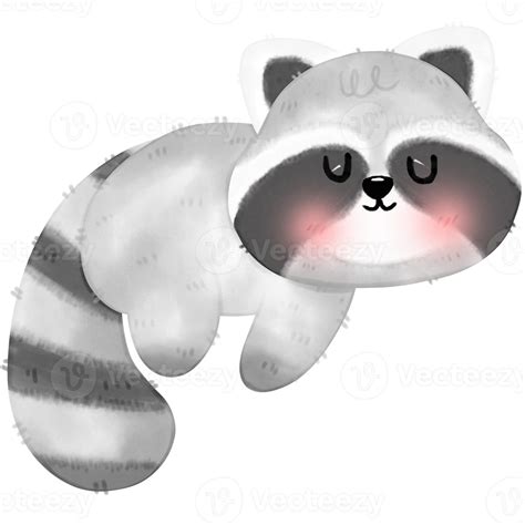 Cute Raccoon Illustration 17340063 Png
