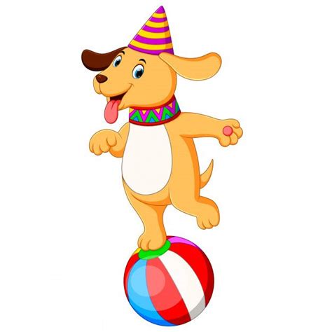 Premium Vector The Circus Dog Playing And Standing On The Ball Cat