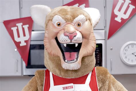 Mascot Voting Iu Day Indiana University