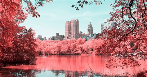 Infrared Photos Transform Nyc Into A Technicolor Dreamland Wired