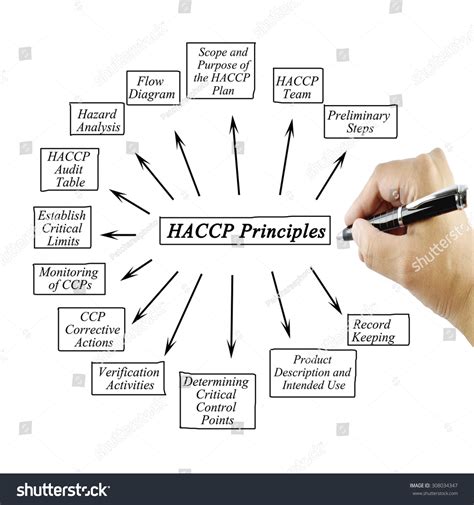 Woman Hand Writing Element Haccp Principle Stock Photo