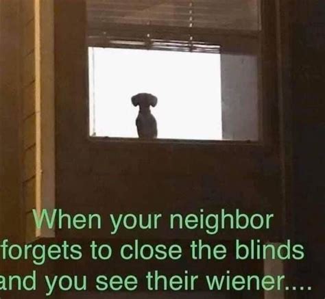 When Your Neighbor Forgets To Close The Blinds And You See Their Wiener