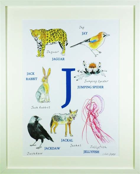 Cadman · chanse · colson ; Animal Alphabet Letter J Animals beginning with J | Etsy | Animal ...
