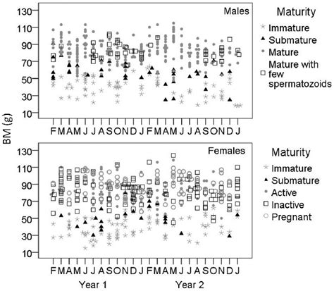 relationship between body mass bm and sexual maturity state in both download scientific