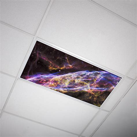 Octo Lights - Fluorescent Light Covers - 2x4 Flexible Decorative Light