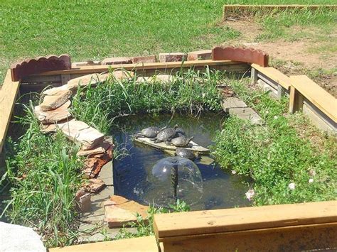Image Result For Easy Diy Turtle Pond Turtle Care Pet Turtle Ponds