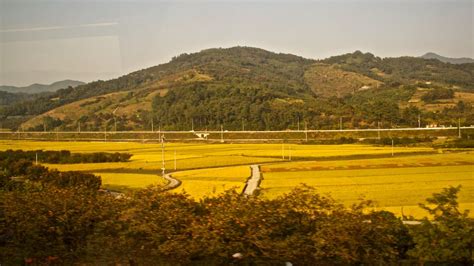 South Korea Bullet Train To Busan