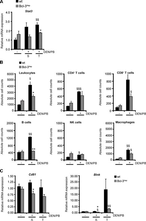 Hepatic Bcl 3 Protects Against Denpb Induced Influx Of Immune Cells To