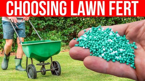 Fertilize Your Lawn Beginners Guide To Understanding Fertilizer