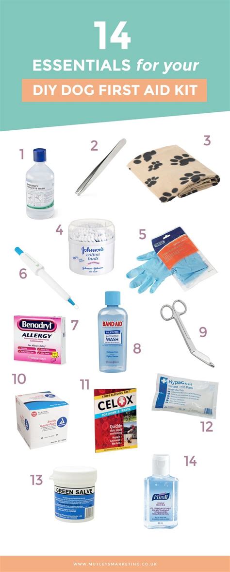 14 Essentials For Your Diy Dog First Aid Kit Diy Dog Stuff Dog Care