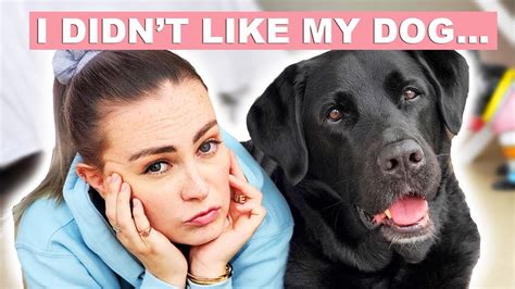 I Almost Left Training Without My Guide Dog Youtube
