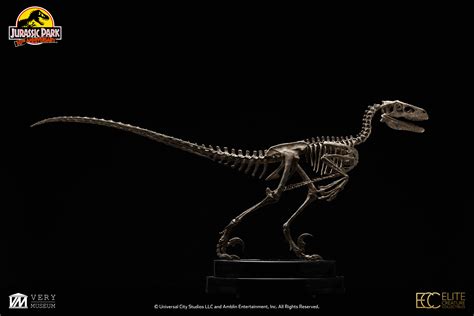 Jurassic Park 18 Scale Raptor Skeleton Bronze Cinemaquette Bringing The Magic Of The Movies Home