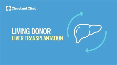 What Is Living Donor Liver Transplantation Youtube