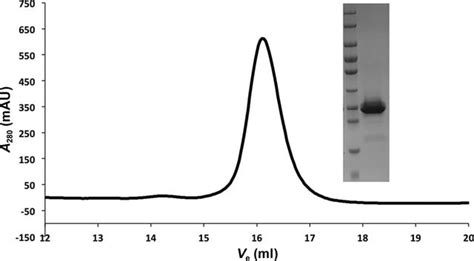 Iucr Expression Purification Crystallization And Preliminary X Ray