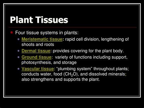 Ppt Tissues Powerpoint Presentation Free Download Id9544933