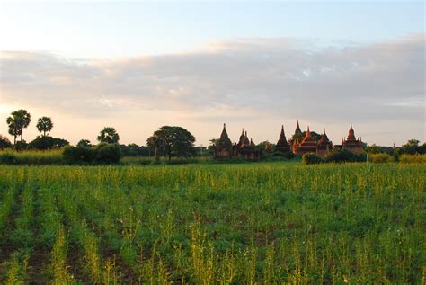 Bagan Temple And Fields At Sunrise Stephen Bugno Flickr