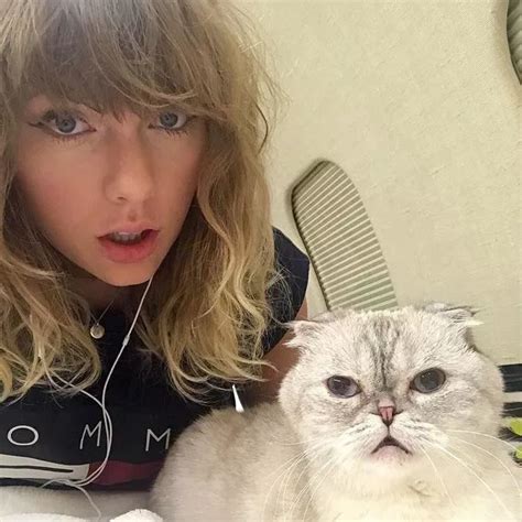 Taylor Swifts Scottish Cats Driving Boom In Purring Pets With Genetic