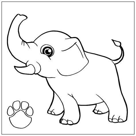 Elefantes Para Colorear Dibujo Imágenes