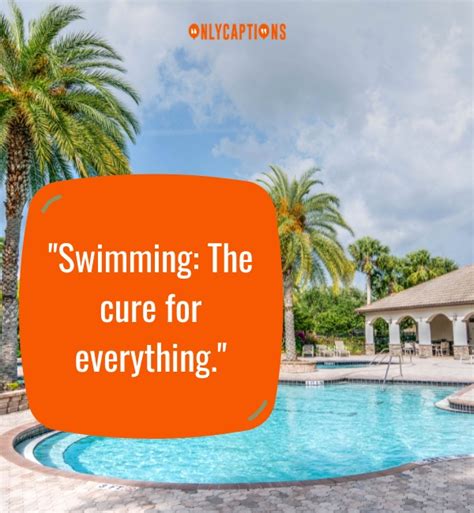 630 Pool Quotes 2024 The Ultimate Collection For Water Lovers