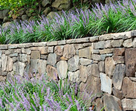 Dry Stack Stone Wall Landscape Architecture Belmont Ma Contemporary