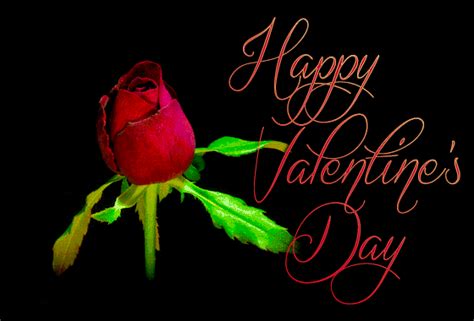 Valentines Love And Roses Animated Gifs Best Animations Valentines