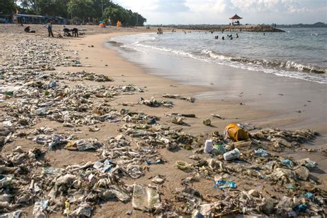 Entre 8 Y 12 Millones De Toneladas De Plástico Colapsan Cada Año El Mar