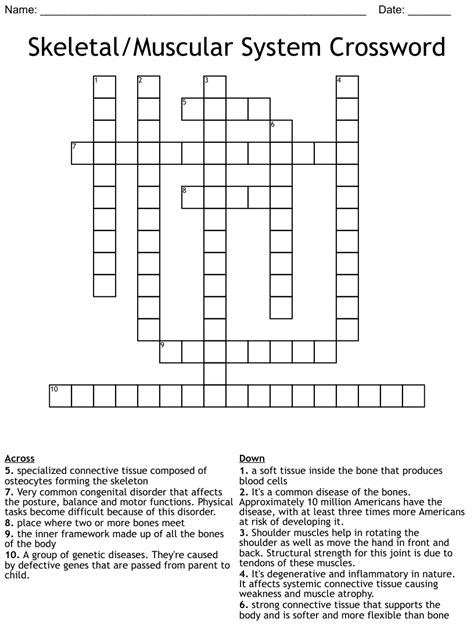 Skeletal System Crossword Puzzle Answer Key Pdf Check Spelling Or