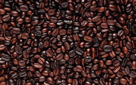 Hd Coffee Bean Wallpaper Pixelstalknet