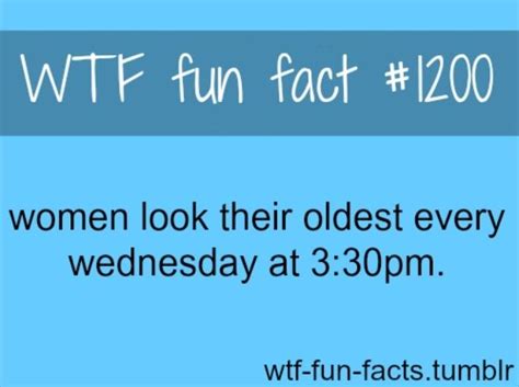 “wtf” Wednesday Wtf Fun Facts Fun Facts Funny Facts