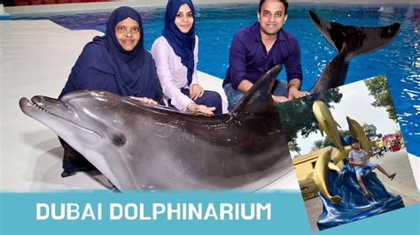 Dubai Dolphinarium Full Show Dolphin And Seal Show Youtube