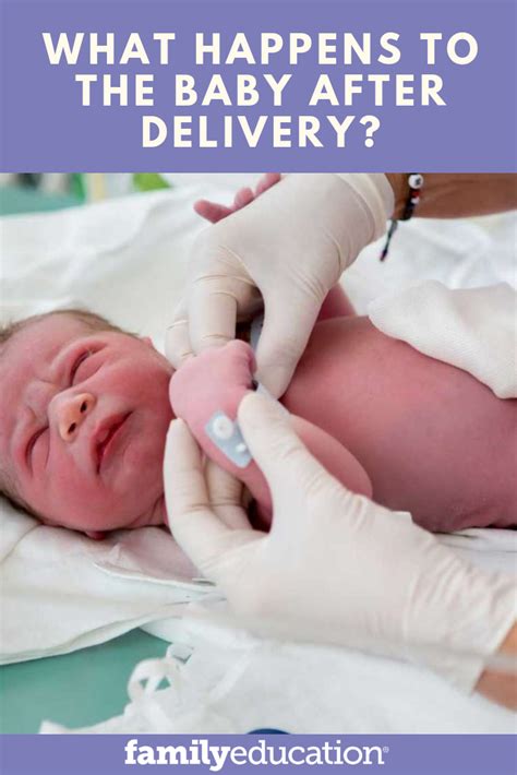 What Happens To Baby After Birth Newborn Care And Assessment Newborn