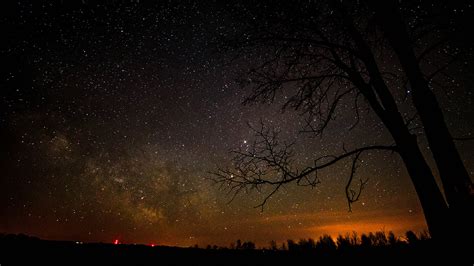 Image Stars Milky Way Space Sky Night Trees 1920x1080