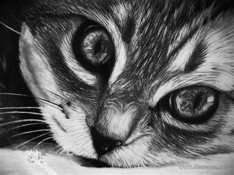 Desen animale in creion animale in creion. Desen - Pisica - Cat, chat , pisica , A3 , creion