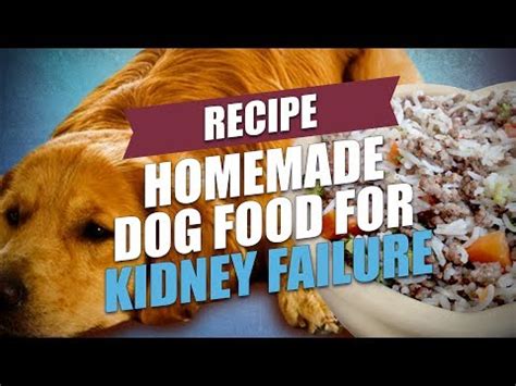 In critically ill patients, renal dysfunction severity can also be evaluated by combining renal function with functional parameters of other organs (eg, the sequential organ failure assessment sofa score). Homemade Dog Food for Kidney Failure Recipe - YouTube