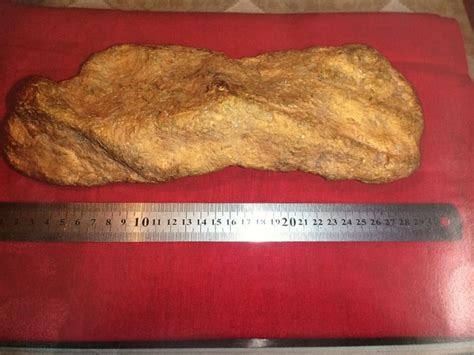 A Giant 103 Kg Gold Nugget Found In Russia Record For
