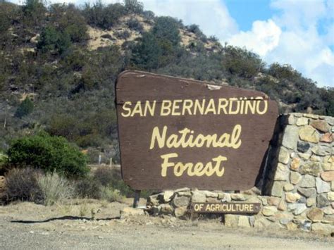 San Bernardino National Forest San Bernardino Ca Picture Of San