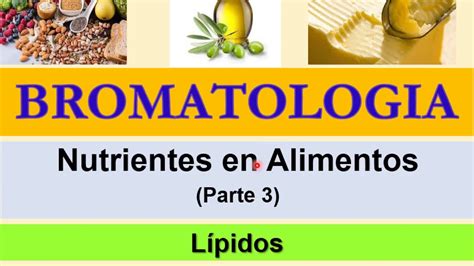 Bromatologia Grasas Y Aceites Nutricion Youtube