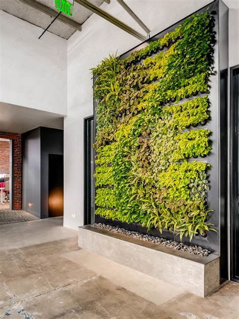 Green Plant Wall With Unique Design Green Wall Vertical Garden