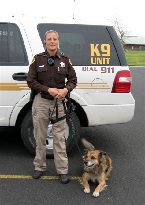 Sheriff K9 Working Dogs Sheriff K9 K9 Unit