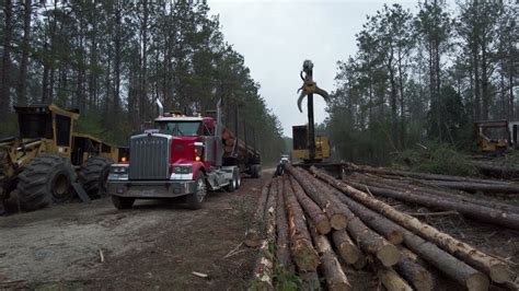 Tigercat 234B First Load Of Logs Watching The 853M Remove Bad Top