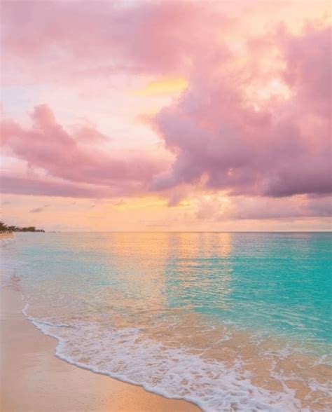 Pink Beach Aesthetic Background Surf Surfing Surfboard Sunsets