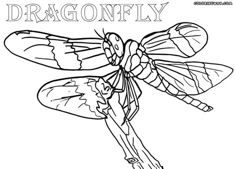 Super coloring free printable coloring pages for kids coloring sheets free colouring book illustrations printable pictures clipart black and white pictures line art and drawings. Dragonfly coloring pages | Coloring pages to download and ...