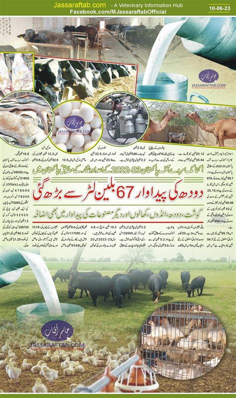 Livestock Production اکنامک سروے دودھ کی پیداوار 67 بلین لیٹر سے بڑھ گئی، گوشت کی پیداوار میں