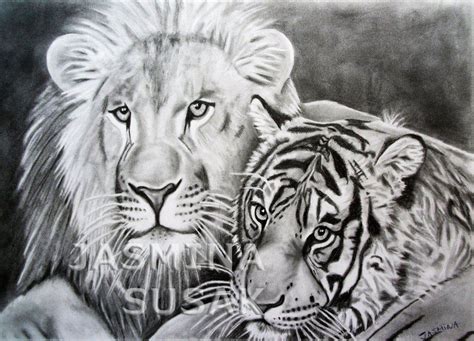 On Deviantart Tiger Drawing