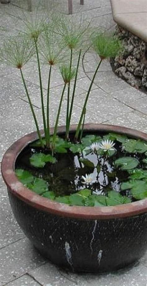 13 Peaceful Diy Container Water Garden Ideas For Container Gardeners